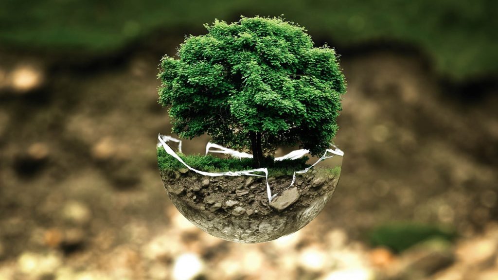 Adaptación a los cambios y pirámide de biomasa